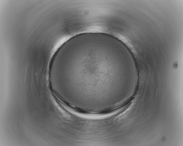 X0000094181469200711020953