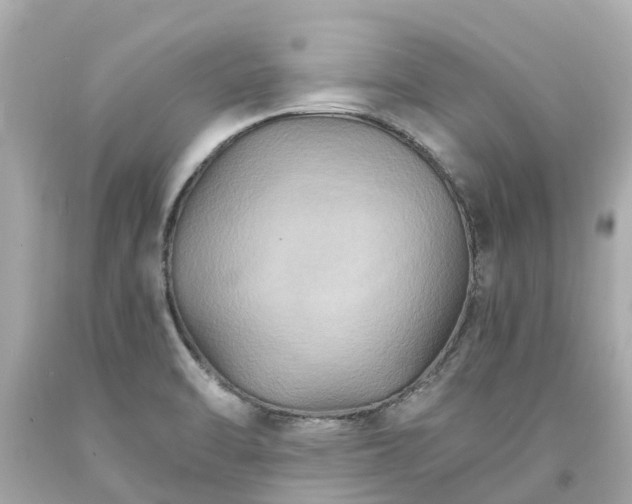 X0000094181470200711020953