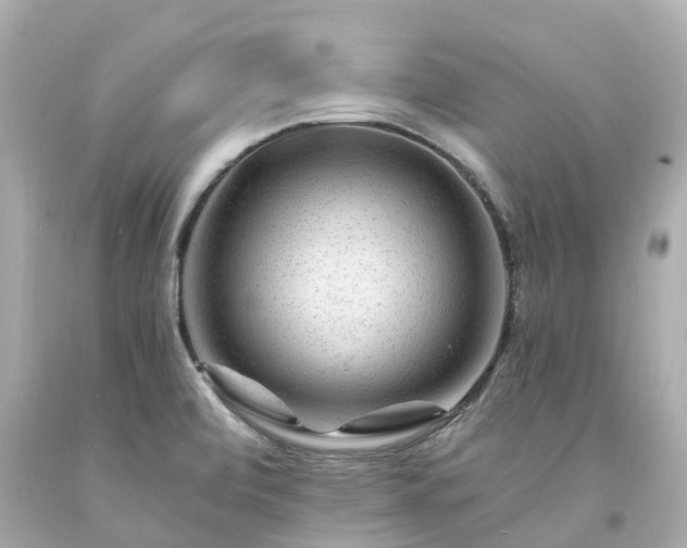 X0000094181472200711020953