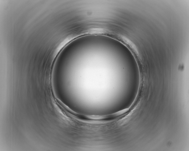 X0000094181473200711020953