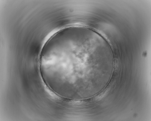 X0000094181474200711020953