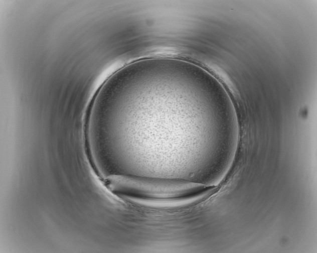 X0000094181475200711020953