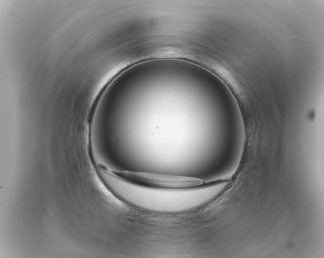 X0000094181476200711020953
