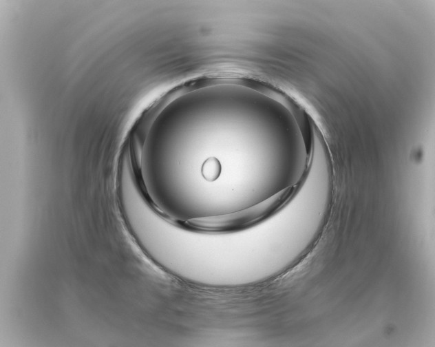 X0000094181477200711020953
