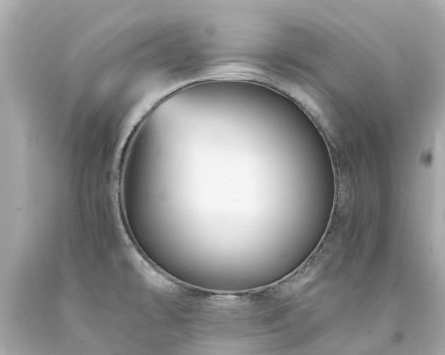 X0000094181478200711020953