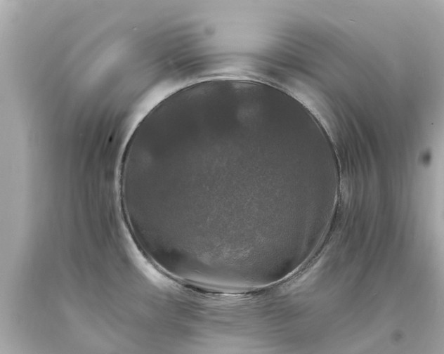 X0000094181482200711020953