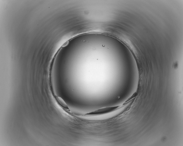 X0000094181483200711020953