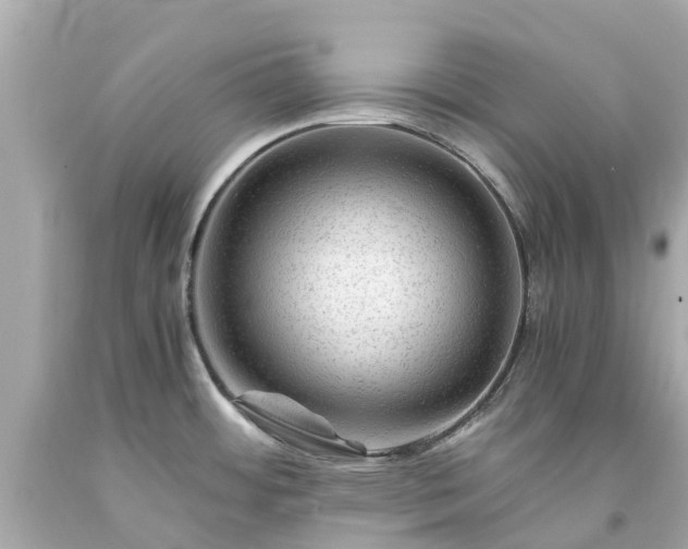 X0000094181484200711020953