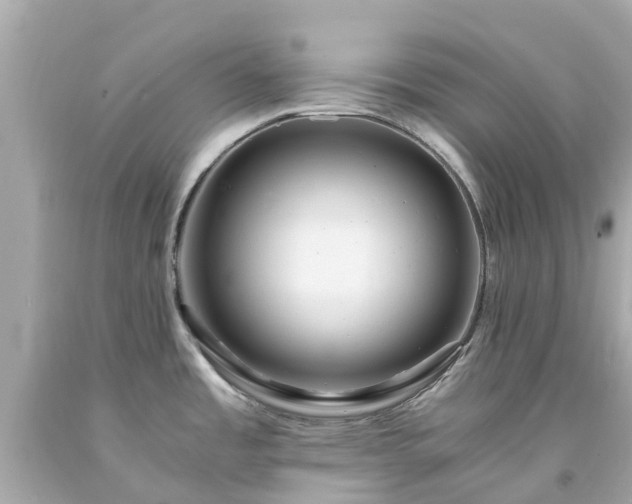 X0000094181485200711020953