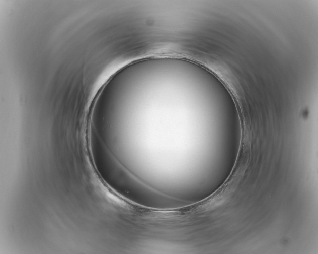 X0000094181486200711020953