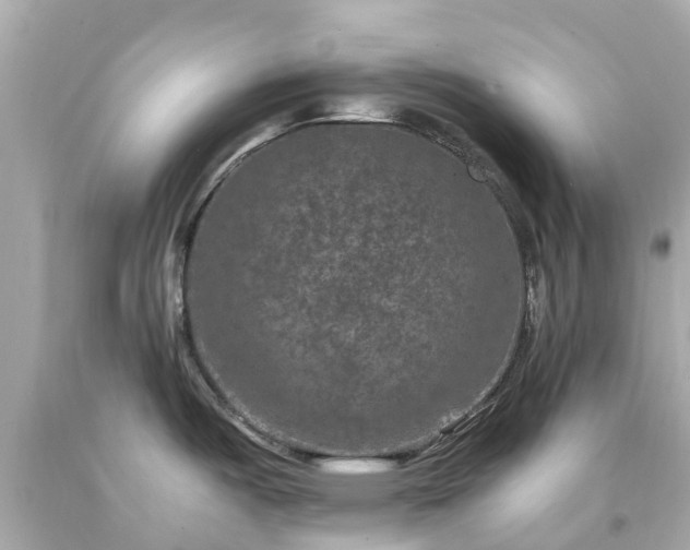 X0000094181487200711020953