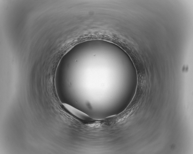 X0000094181489200711020952