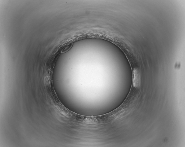 X0000094181491200711020952