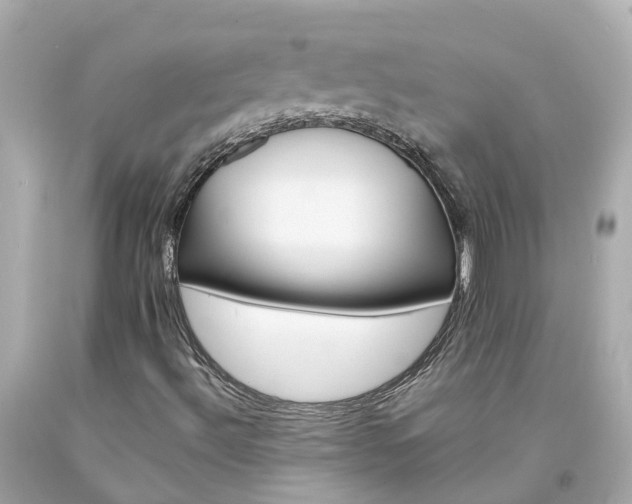 X0000094181492200711020952