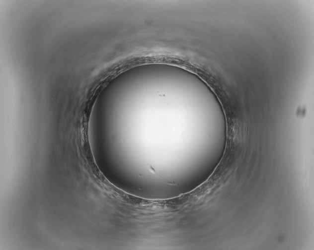 X0000094181493200711020952