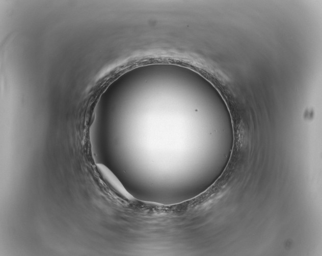 X0000094181494200711020952