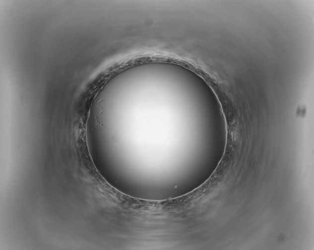 X0000094181495200711020952