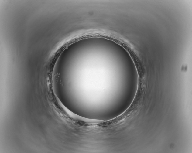 X0000094181496200711020952