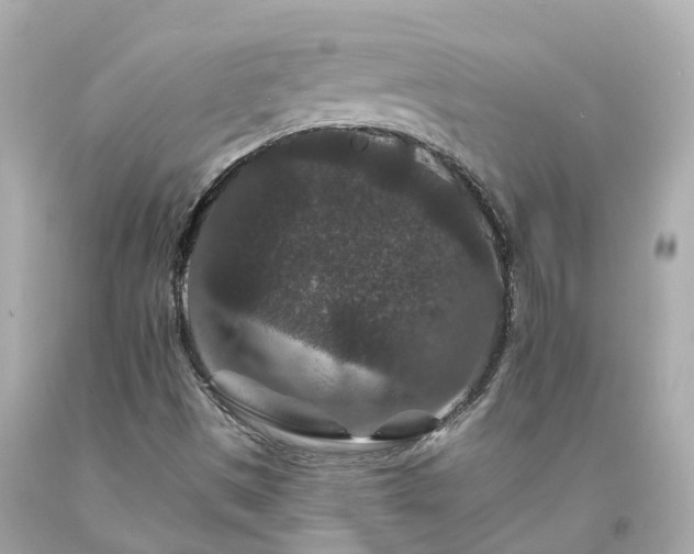 X0000094181497200711020952