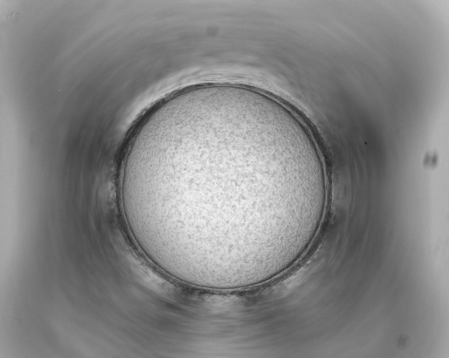 X0000094181498200711020952