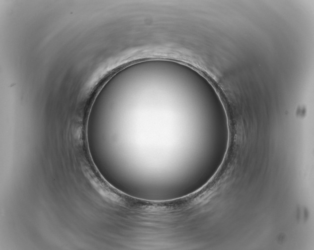 X0000094181499200711020952