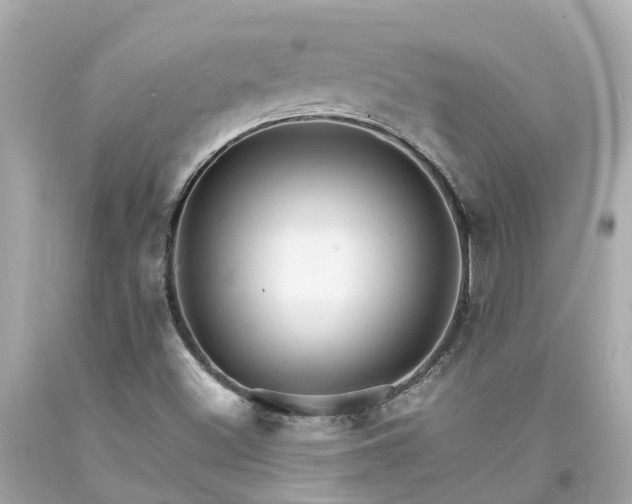 X0000094181500200711020952