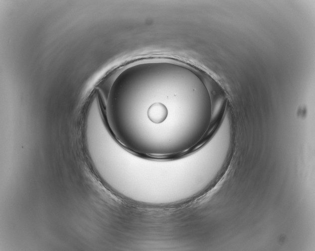 X0000094181502200711020952