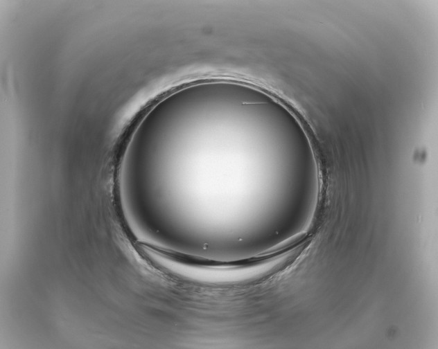 X0000094181503200711020952