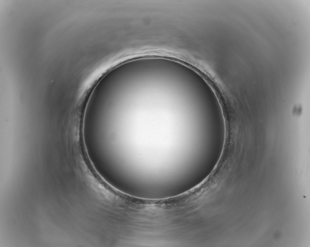 X0000094181504200711020952