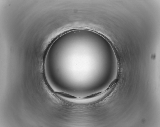 X0000094181507200711020953