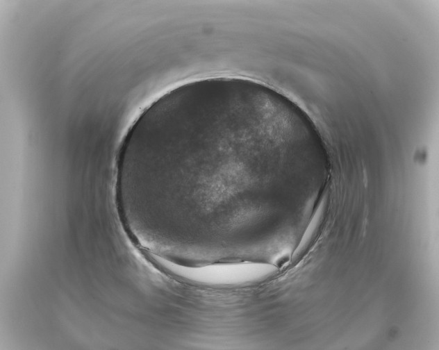 X0000094181508200711020953