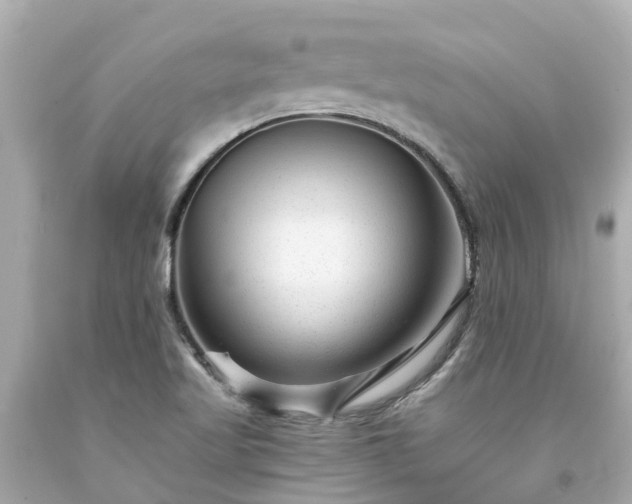 X0000094181509200711020953