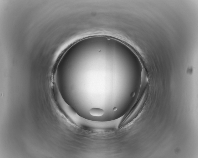X0000094181510200711020953