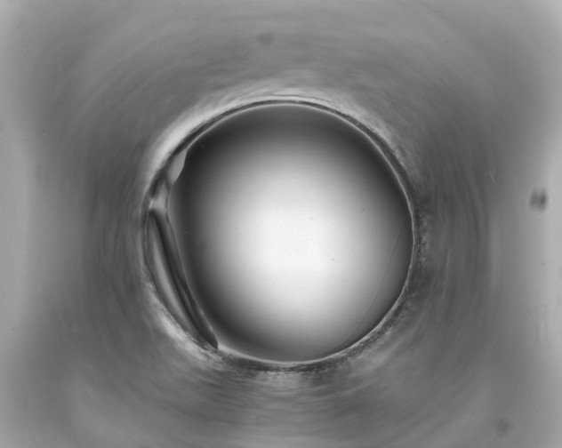 X0000094181511200711020953