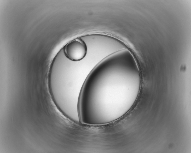 X0000094181512200711020953
