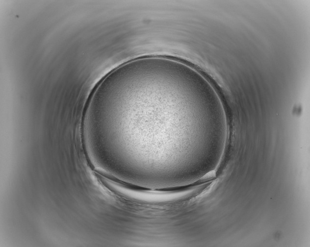 X0000094181513200711020953