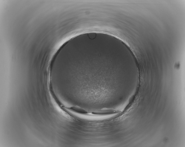 X0000094181515200711020953