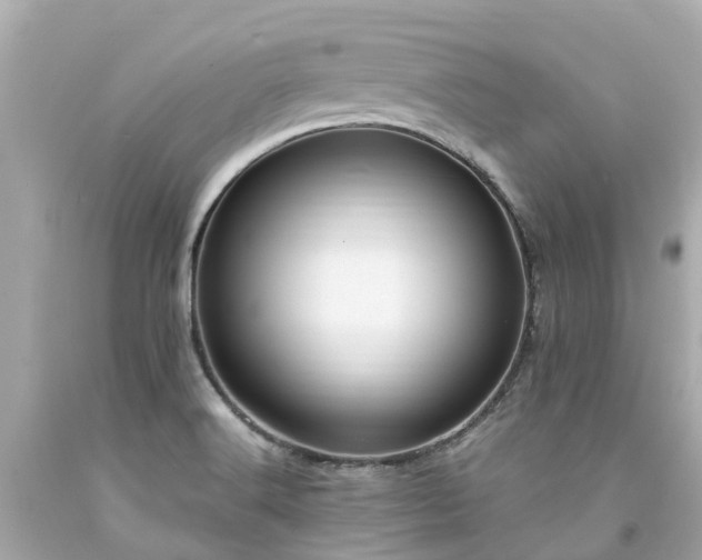 X0000094181516200711020953