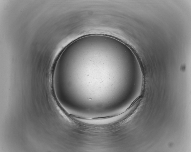 X0000094181517200711020953