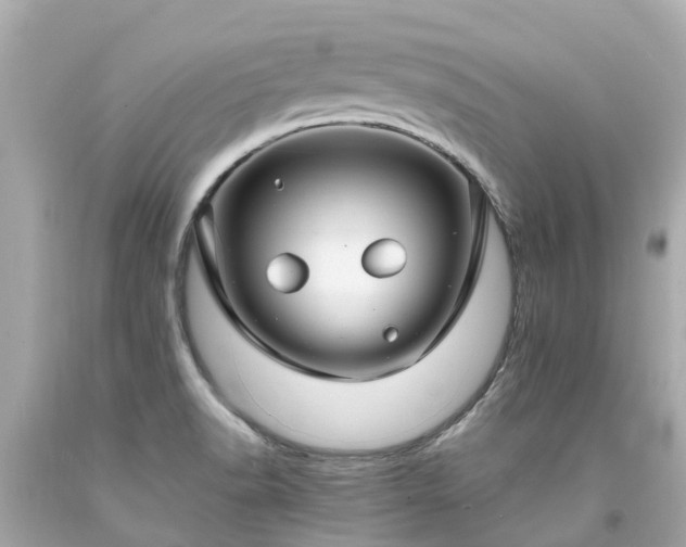 X0000094181518200711020953