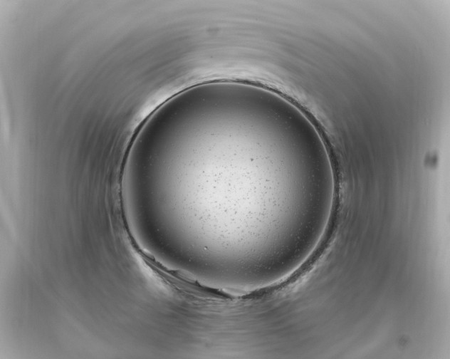 X0000094181521200711020953