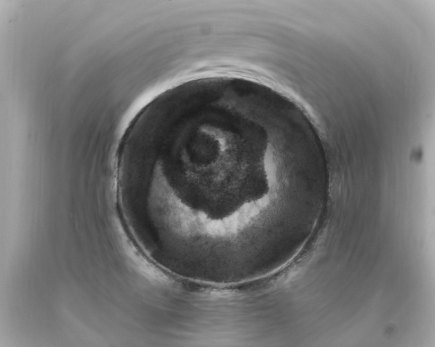 X0000094181522200711020953