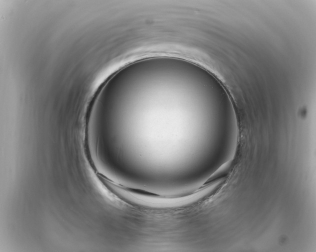 X0000094181523200711020953