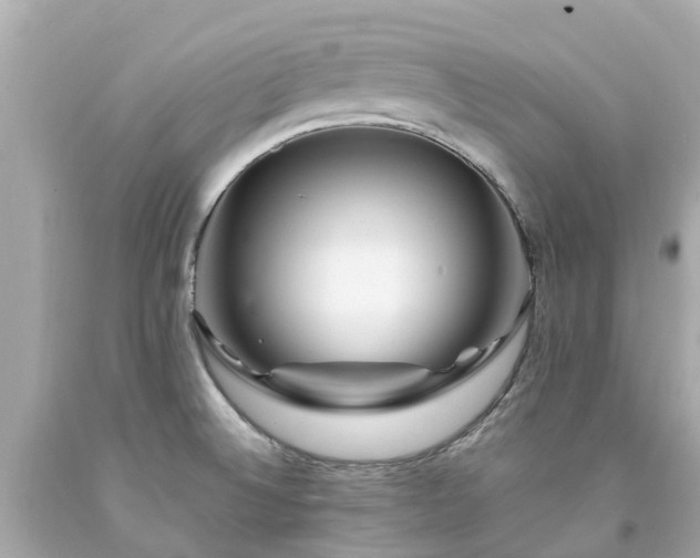 X0000094181524200711020953