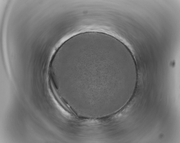 X0000094181525200711020953