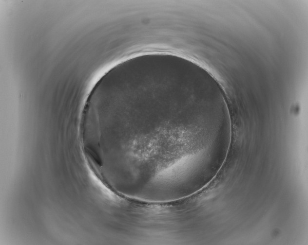 X0000094181527200711020953