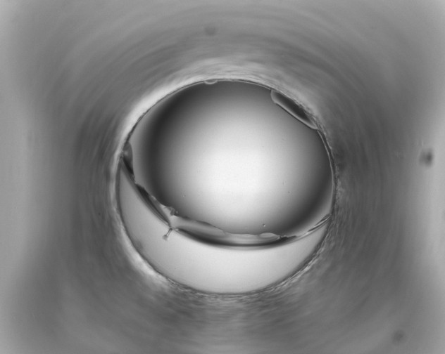 X0000094181528200711020953