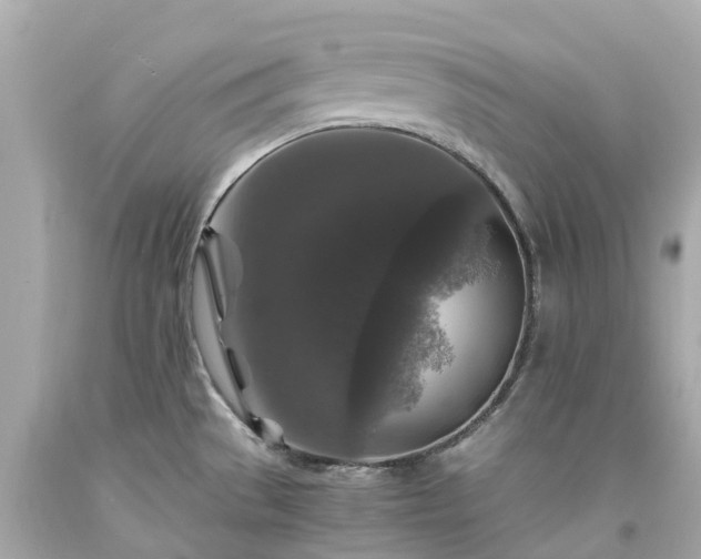 X0000094181529200711020953