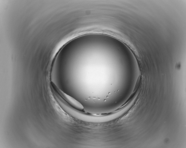 X0000094181530200711020953