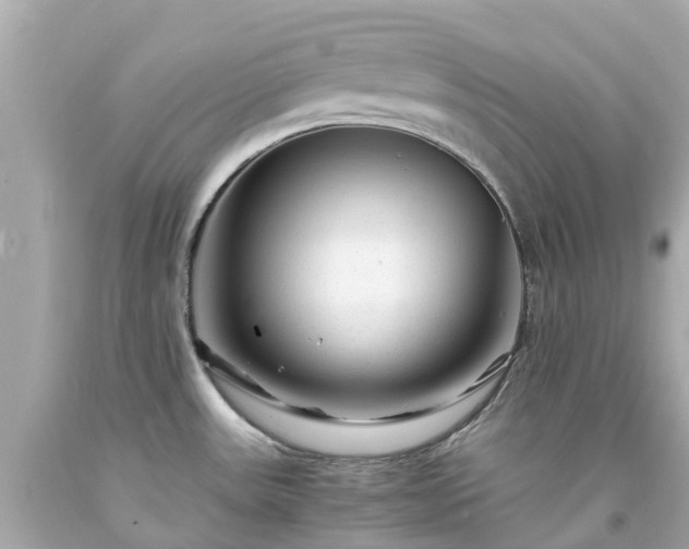 X0000094181531200711020953